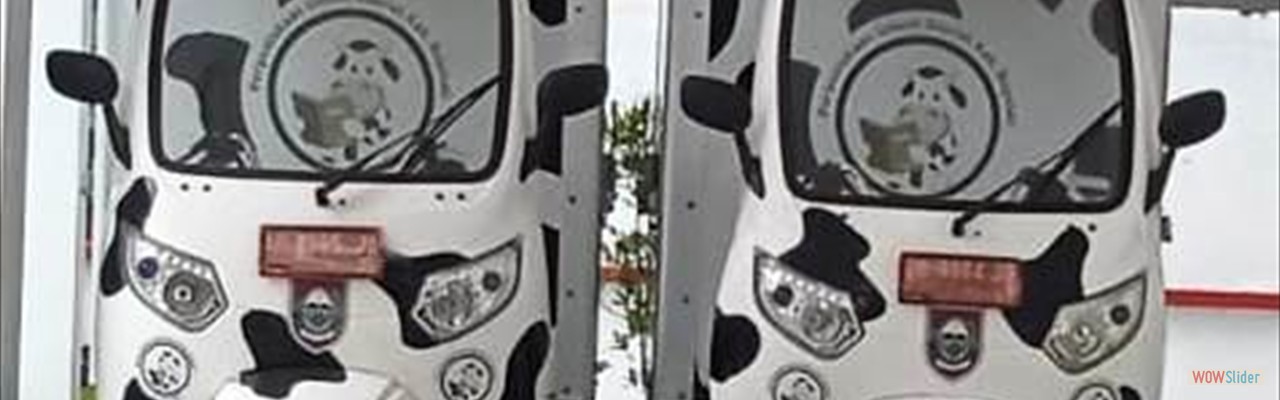 WhatsApp Image 2022-09-11 at 16.59.36 (1)