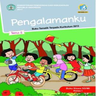 Tema 5, Pengalamanku