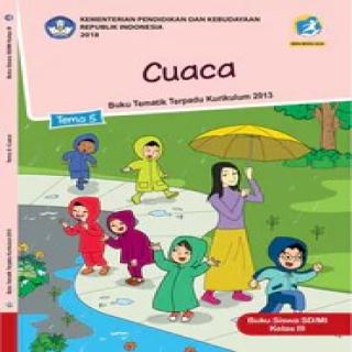 Tema 5, Cuaca