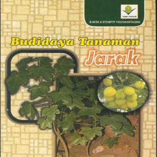 TEKNIK BUDIDAYA JARAK PAGAR