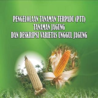 PENGELOLAAN TANAMAN TERPADU (PTT)  TANAMAN JAGUNG DAN  DESKRIPSI VARIETAS UNGGUL JAGUNG