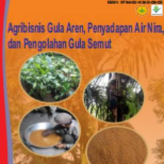 Agribisnis aren, penyadapan air nira, dan pengolahan gula semut