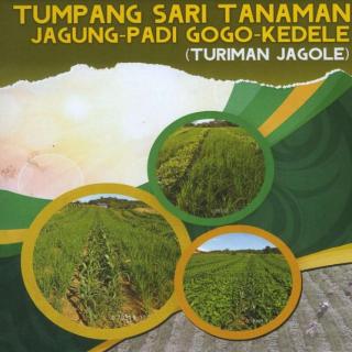 TUMPANG SARI TANAMAN JAGUNG-PADI GOGO-KEDELE