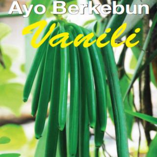Ayo Berkebun Vanili