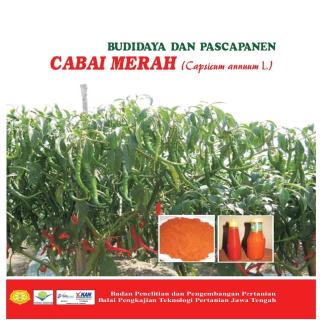 Budidaya dan Pascapanen Cabai Merah (Capsicum annuum L.)