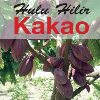 Hulu Hilir Kakao