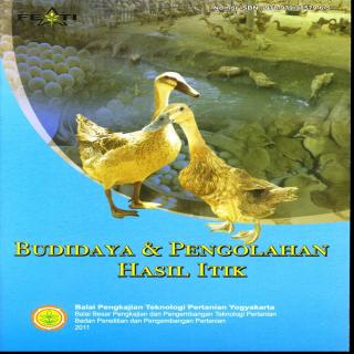 Budidaya & Pengolahan Hasil Itik