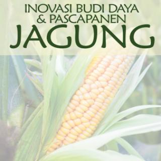 Inovasi Budidaya & Pascapanen Jagung
