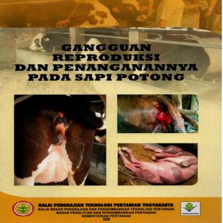Gangguan reproduksi dan penanganannya pada sapi potong