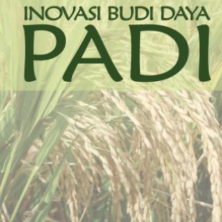INONASI BUDI DAYA PADI
