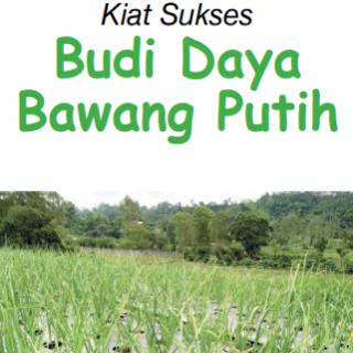 Kiat Sukses Budi Daya Bawang Putih