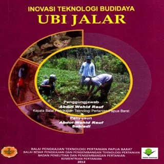 Inovasi Teknologi Budidaya Ubi Jalar