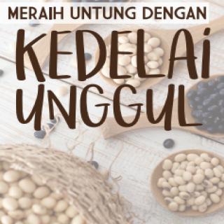 MERAIH UNTUNG DENGAN KEDELAI UNGGUL