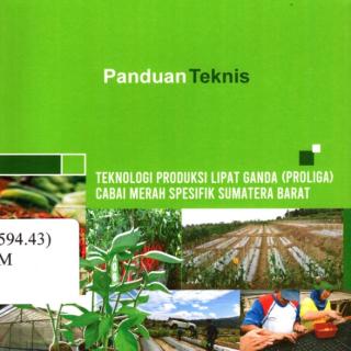 TEKNOLOGI PRODUKSI LIPAT GANDA (PROLIGA) CABAI MERAH SPESIFIK SUMATERA BARAT