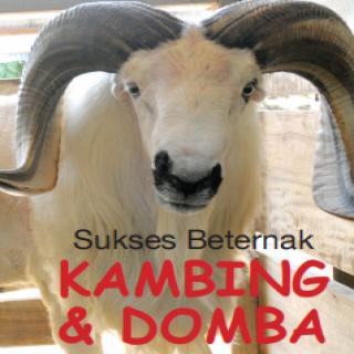 Sukses Beternak KAMBING & DOMBA