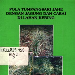 POLA TUMPANGSARI JAHE DENGAN JAGUNG DAN CABAI  DI LAHAN KERING