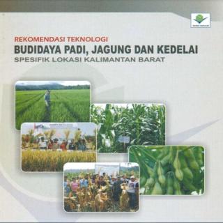 BUDIDAYA PADI, JAGUNG DAN KEDELAI