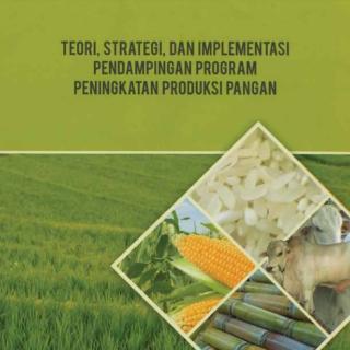 TEORI STRATEGI DAN IMPLEMENTASI PENDAMPINGAN PROGRAM PENINGKATAN PRODUKSI PANGAN