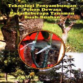 PENYAMBUNGAN POHON DEWASA Pada Beberapa Tanaman Buah-buahan