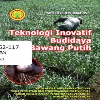 TEKNOLOGI INOVATIF BUDIDAYA  BAWANG PUTIH