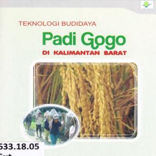 TEKNOLOGI BUDIDAYA PADI GOGO