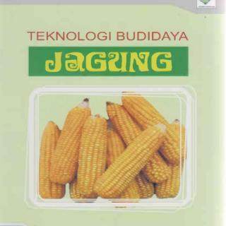 TEKNOLOGI  BUDIDAYA JAGUNG