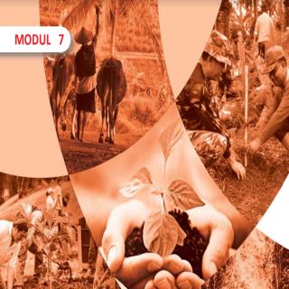 Lestari Alamku, BAHASA INDONESIA PAKET B SETARA SMP/Mts