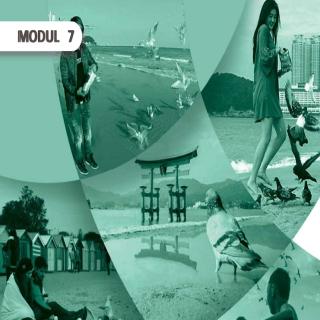 Such A Great View: People, Birds, and Sand, EASY ENGLISH for PACKAGE B