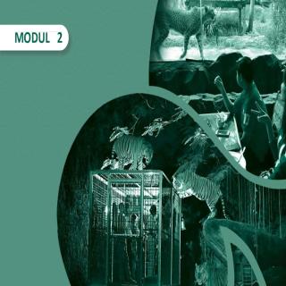 Makhluk dan Benda di Sekitar Kita, Ilmu Pengetahuan Alam (IPA) Paket B Setara SMP/Mts