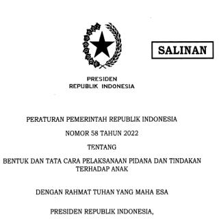 BENTUK DAN TATA CARA PELAKSANAAN PIDANA DAN TINDAKAN TERHADAP ANAK