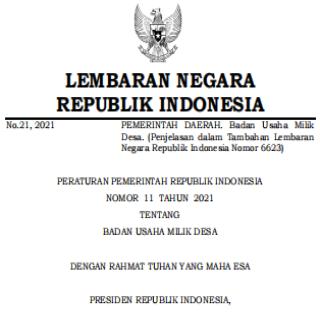 BADAN USAHA MILIK DESA