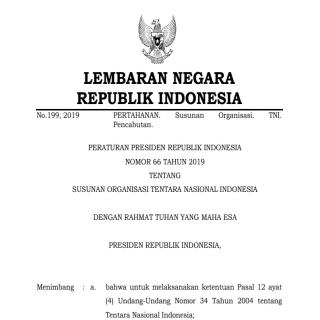 SUSUNAN ORGANISASI TENTARA NASIONAL INDONESIA