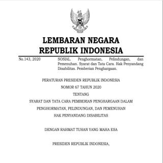 SYARAT DAN TATA CARA PEMBERIAN PENGHARGAAN DALAM PENGHORMATAN, PELINDUNGAN, DAN PEMENUHAN  HAK PENYANDANG DISABILITAS