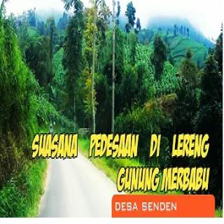 desa di lereng gunung Merbabu/senden-jeruk selo Boyolali