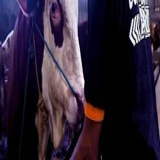 Profile Kabupaten Boyolali