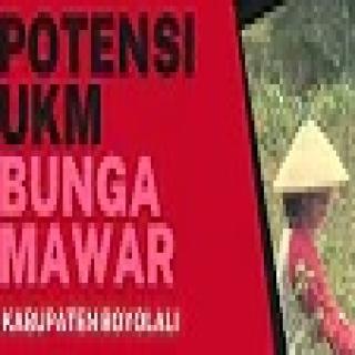 VIDEO PROFIL POTENSI INVESTASI UKM BUNGA MAWAR BOYOLALI